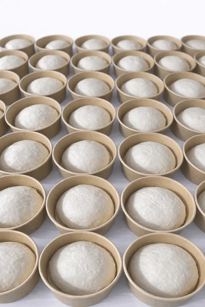 All In The Box Authentic Ready Made Neapolitan Dough Balls Box of 12 - Dough Dorks