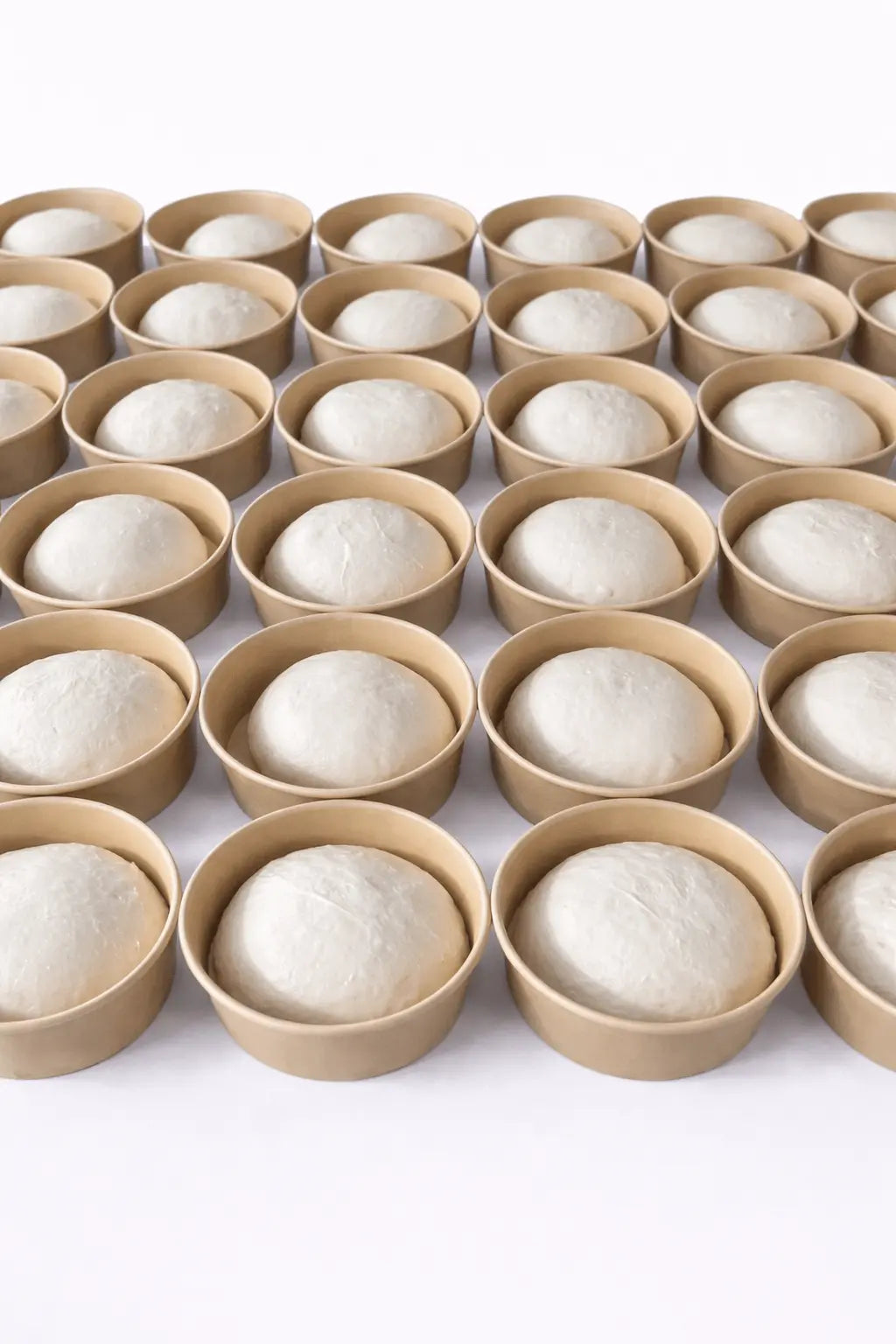 Mixed Neapolitan Pizza Dough Balls – Triple Flavour Box 24 - Dough Dorks - product image 7